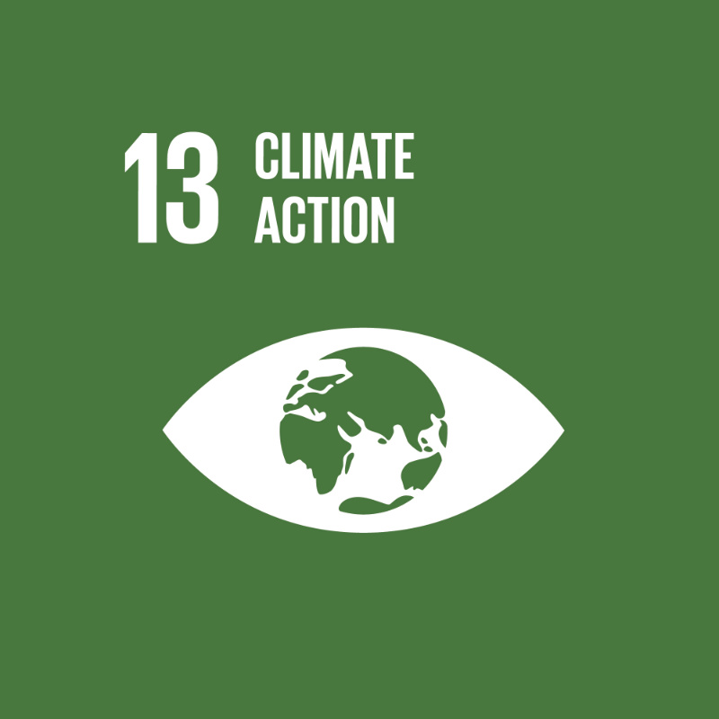 13 SDG 13 - Climate action