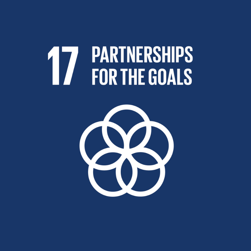 17 SDG 17 - Partnership for the goals
